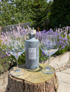 PXL_20240708_104818075 (1)