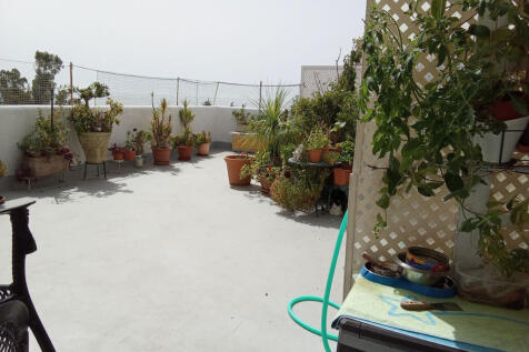 Image 13