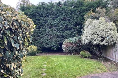Garden 1   21.10.25.jpg