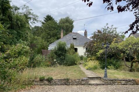 The Dingle - July 2025.JPG