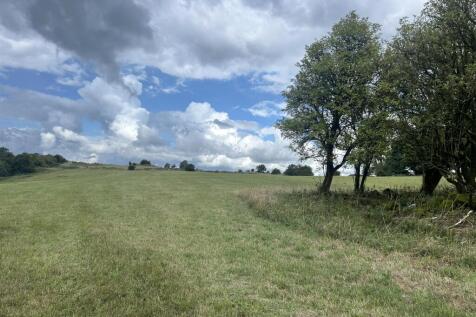 IMG_0987.JPEG