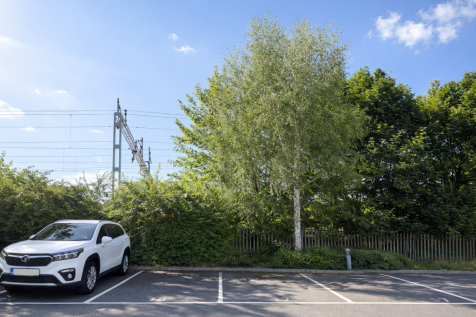 Sunny parking lot with green surroundings