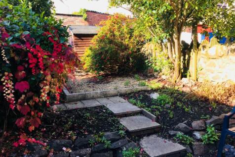 Back Garden