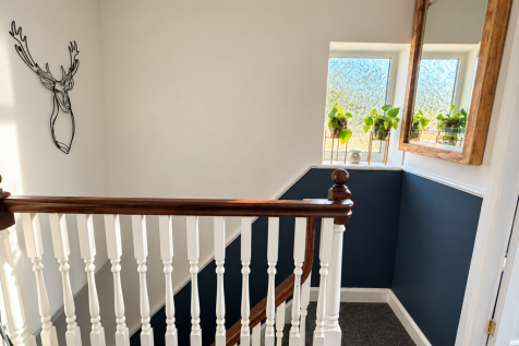 Sunlit Stairway Landing with Plants.png