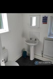 Downstairs Bathroom (2)