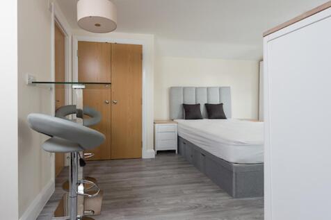 Living Room/Bedroom