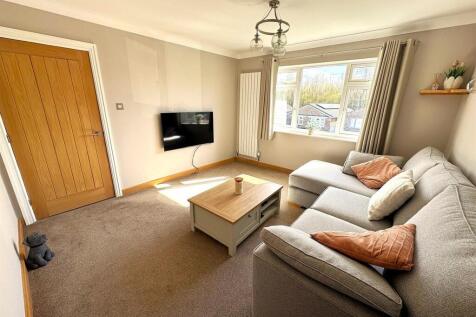 thumbnail_image0 (6).jpg