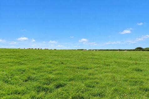 Grass / Arable Land