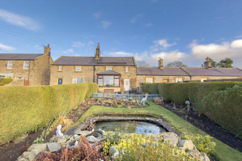 IMG 0441 T202601141927.jpg