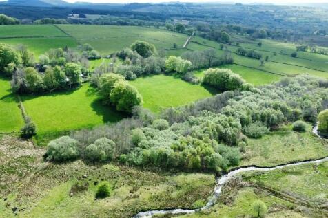 dji_fly_20240510_151418_122_1715350487170_photo_op