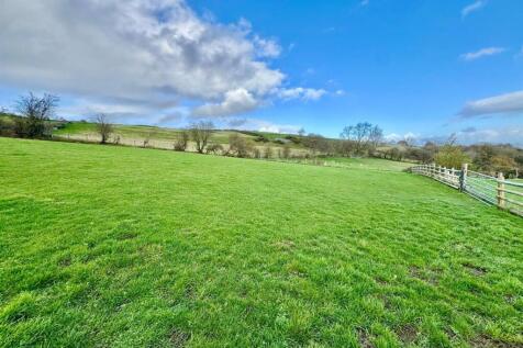 PHOTO-2025-11-06-09-07-28 (10).jpg