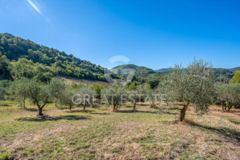 Panorama e Particolari