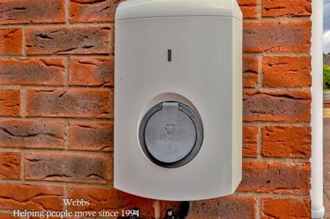 webbs -47.JPG
