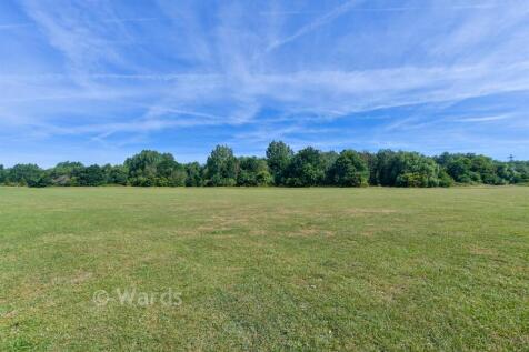 Surrounding Area