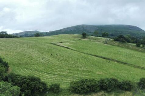 dji_fly_20240709_164232_461_1720539789531_photo_op