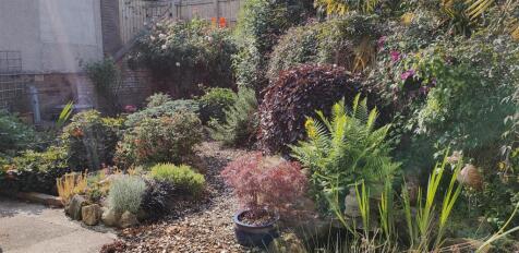 IMG20250608090327 - Copy.jpg