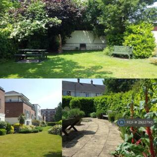 Manicured Gardens