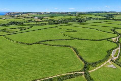 Grass / Arable Land