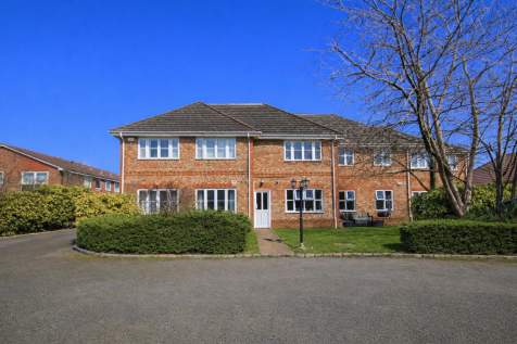 ChatGPT Image Feb 26, 2026, 03_21_02 PM.png