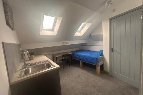 Bright loft room with skylights and kitchenette...