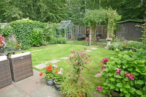 M garden.JPG
