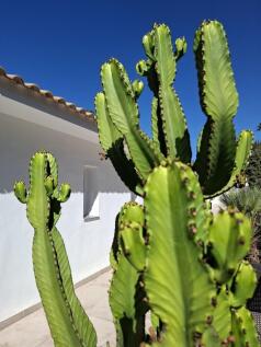 Property Image 66