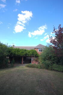 Rear Aspect