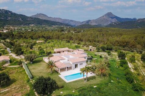 Overhead view of pro