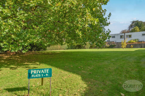 0e246342-37b4-450...