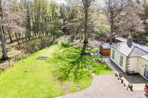 DJI_20260420121301_0091_D.jpg
