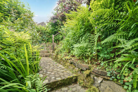 Garden Path &amp; Shrubs