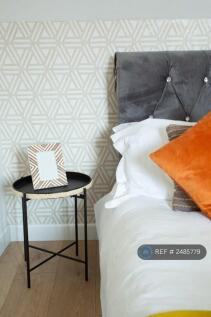 Mesh Accommodation Stylish Décor