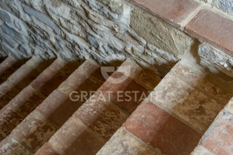 Panorama e Particolari