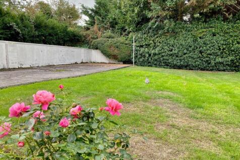 The Rear Garden