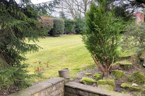 garden 11.jpg