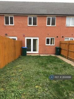 Back Garden