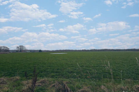 snapedit_17701333...