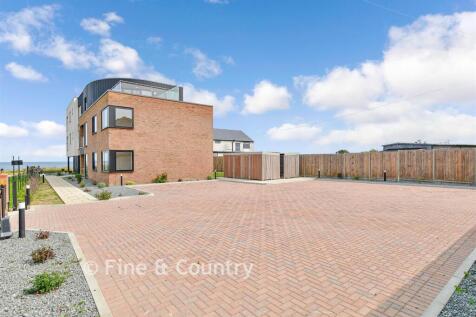 Driveway/Parking