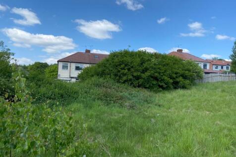 IMG 6388 T202510221045.jpeg