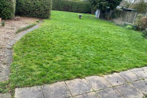 PHOTO-2025-11-04-17-17-33 6.jpg