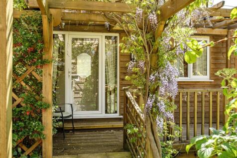 Wisteria