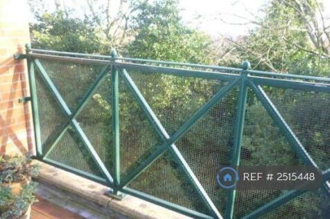South Facing Secluded Balcony