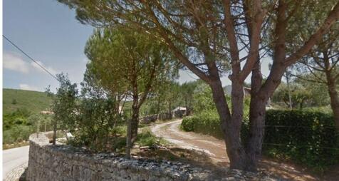 Property Image 38