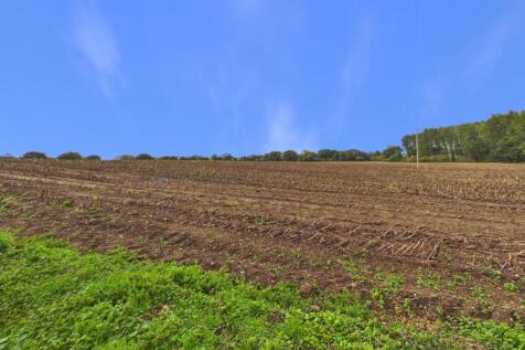 Field views from rear garden