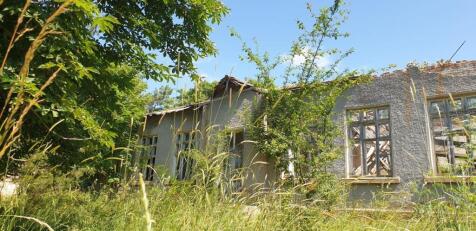 An abandoned building with a partially collapsed roof and broken windows is surrounded by tall grass and dense bushes in Lyubichevo.