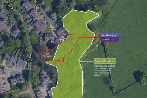 B. Woodland T202605132013.jpg