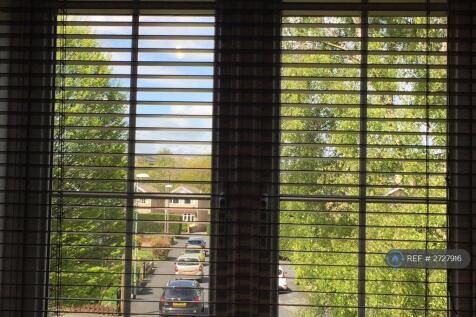 View From Lounge Area