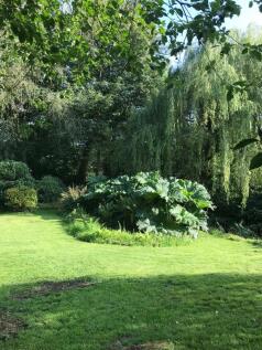 Property Image 50