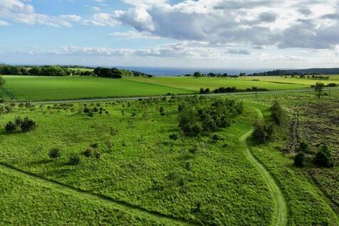 Farm Land for sale Image 6