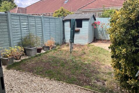 Back garden